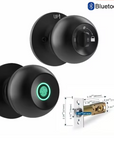 Smart Keyless Entry Door Lock