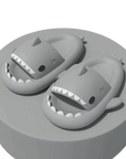 Shark Slides